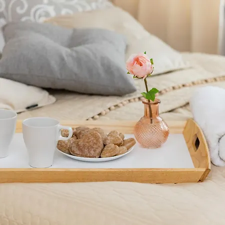 Bright Srodmiescie By Renters *