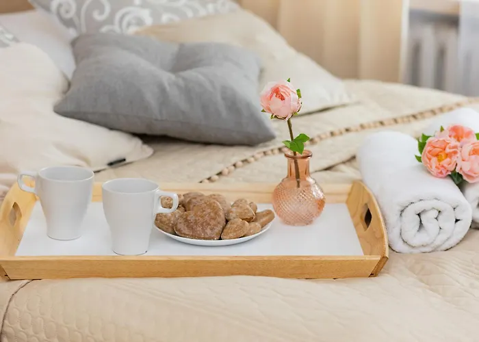 Bright Srodmiescie By Renters *